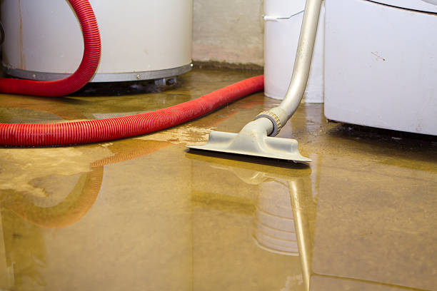 Best Professional water damage repair  in Mount Vernon, MD