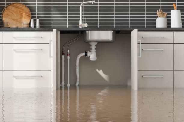 Best Professional water damage repair  in Mount Vernon, MD
